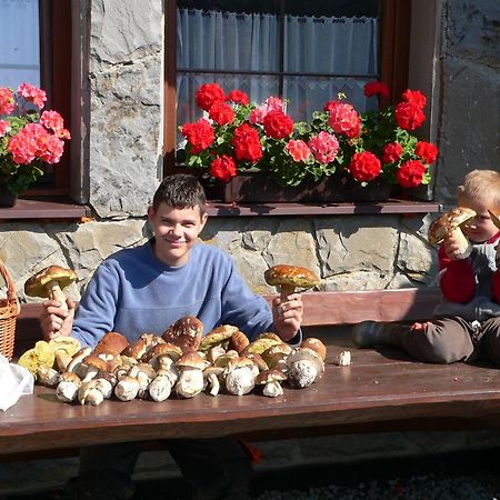 Penzion Tatry Ždiar 外观 照片