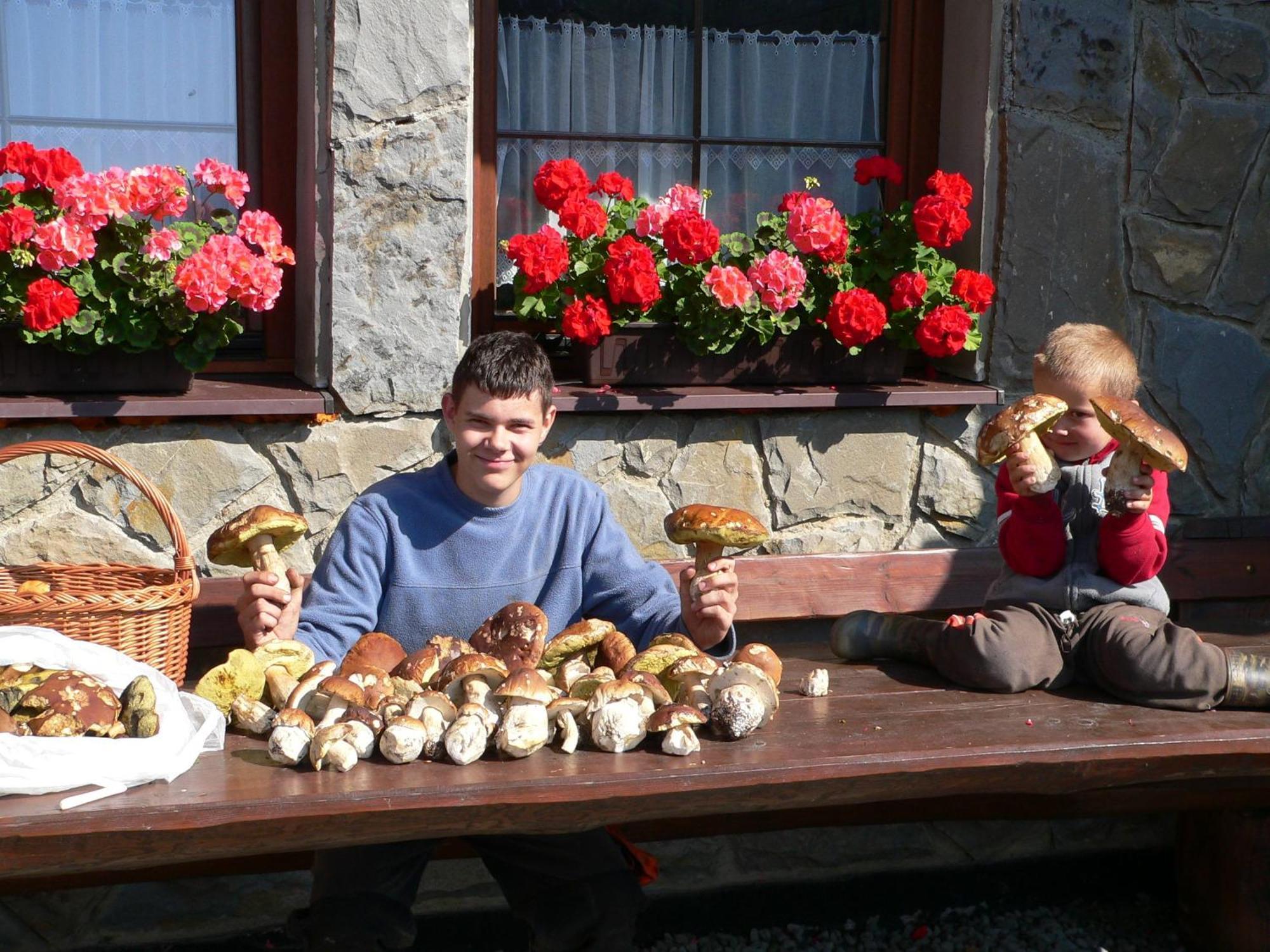 Penzion Tatry Ždiar 外观 照片